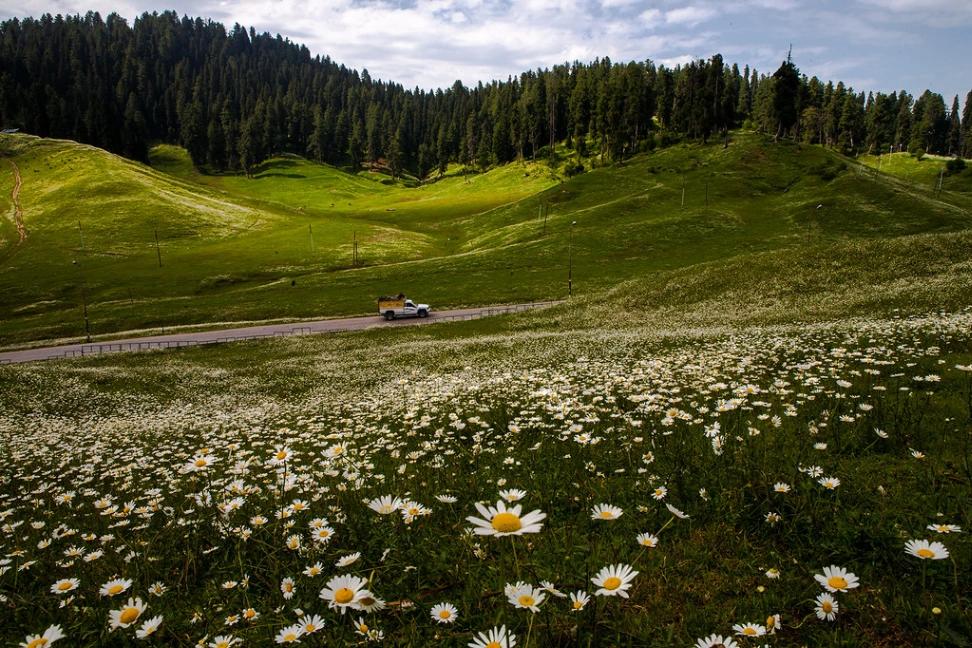 Balanced Darshan in Gulmarg