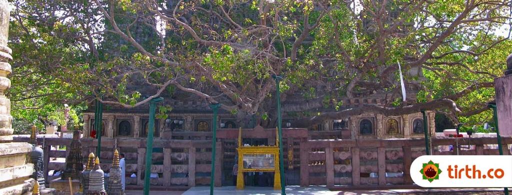 Mahabodhi Tree-temple-cover